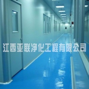 江西凤凰富士能光学有限公司净化华体会(中国)